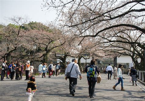 北の丸公園第三駐車場、そしてそこから広がる都市の記憶と未来