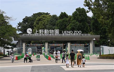 上野動物園 駐車場 そして宇宙の果てへの旅